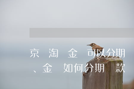 京東淘寶金條可以分期還款嗎，京東、淘寶、金條：如何分期還款？